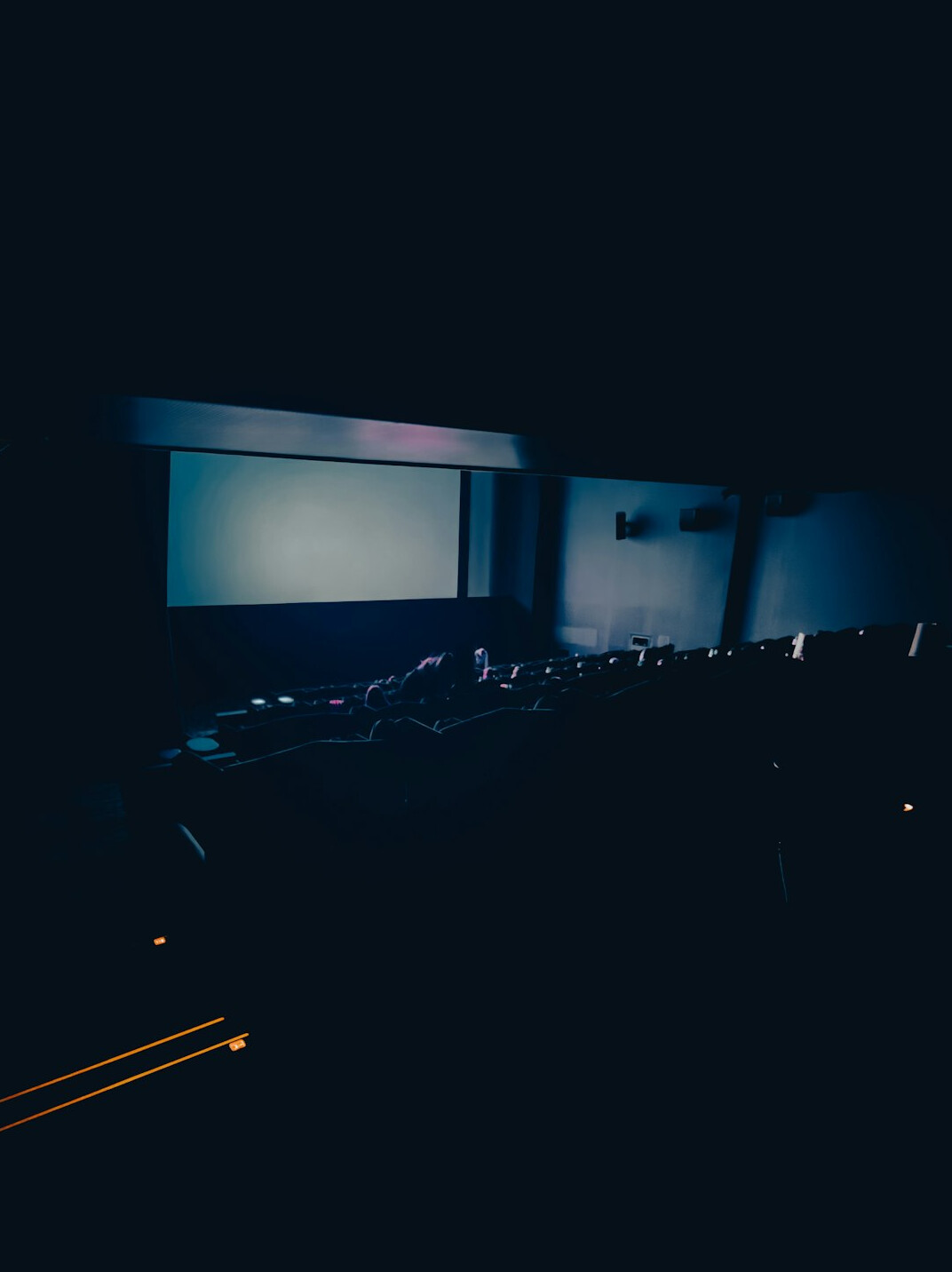 cinema audience watching film